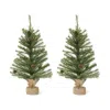 Houzbling Mini Pine Tree 2'h (set Of 2) Pvc