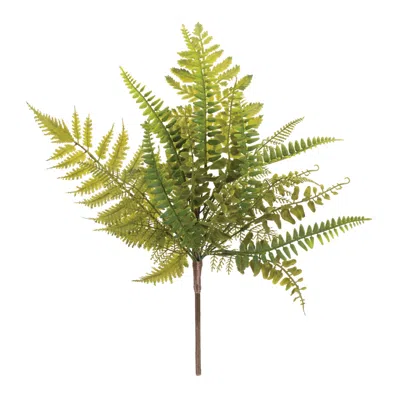 Houzbling Mixed Fern Spray (set Of 6) 16.5"h Plastic In Brown