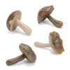 Houzbling Mushroom (set Of 12) 3"h Resin