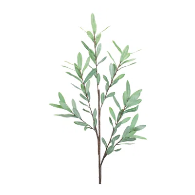Houzbling Olive Leaf Branch (set Of 2) 39"h Polyester