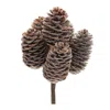 Houzbling Pine Cone Bundle (set Of 12) 9"h Cone