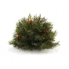 Houzbling Pine Half Orb (set Of 2) 6.5"d Plastic