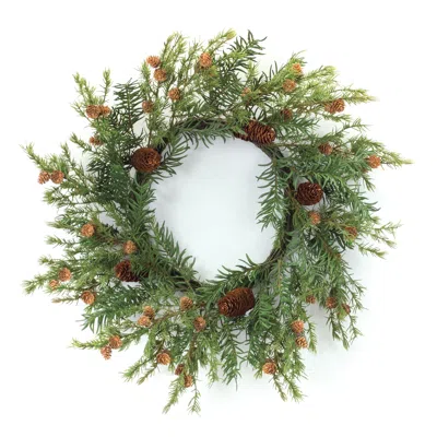 Houzbling Pine Wreath 24"d Plastic In Green