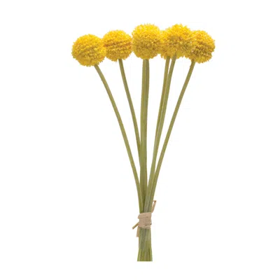 Houzbling Pod Bundle (set Of 6) 13.25"h Plastic In Yellow