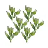 Houzbling Poppy Pod Bundle (set Of 6) 9.5"h Foam/plastic