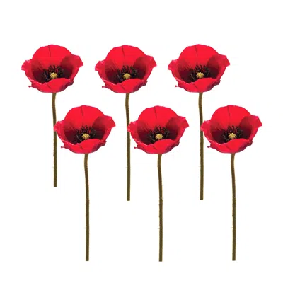 Houzbling Poppy Spray (set Of 6) 26.5"h Polyester