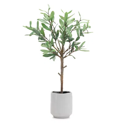 Houzbling Potted Olive Leaf Topiary 21.5"h Polyester/ceramic In White