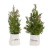 Houzbling Potted Tree (set Of 2) 14.25"h, 16.5"h Plastic