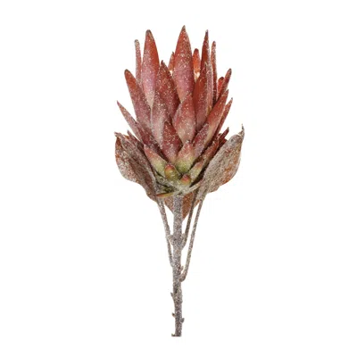 HOUZBLING PROTEA STEM (SET OF 2) 29"H POLYESTER