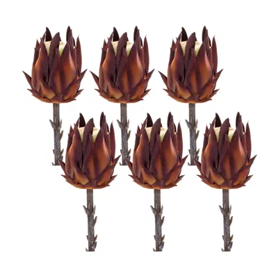 Houzbling Protea Stem (set Of 6) 20"h Plastic