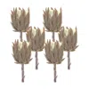 Houzbling Protea Stem (set Of 6) 20"h Plastic