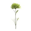 Houzbling Puff Stem (set Of 6) 24"h Plastic