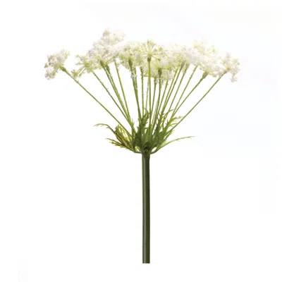 Houzbling Queen Anne's Lace Stem (set Of 2) 29"h Plastic
