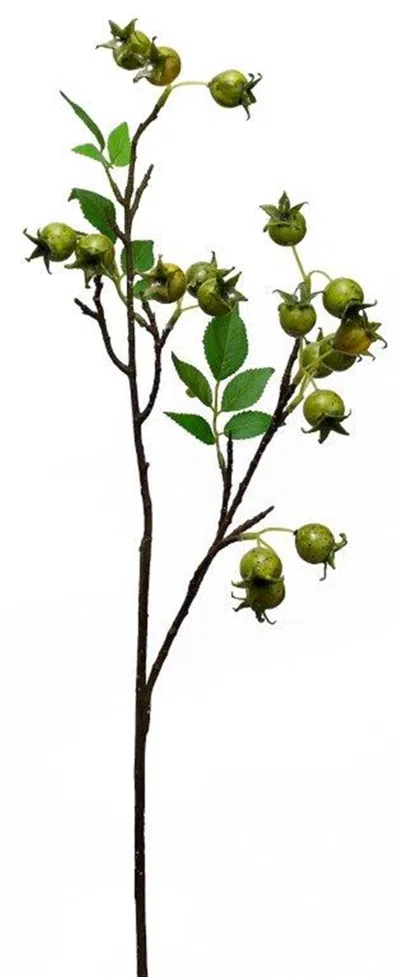 Houzbling Rose Hip Spray (set Of 4) 33.75"h Foam/plastic
