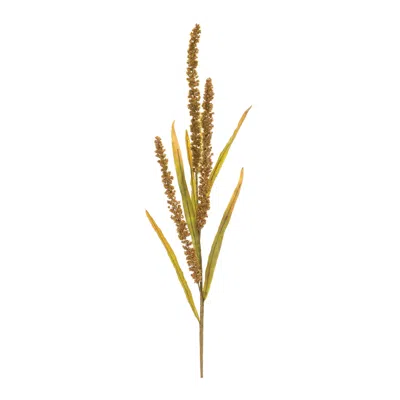 Houzbling Seeded Spray (set Of 12) 25.5"h Plastic