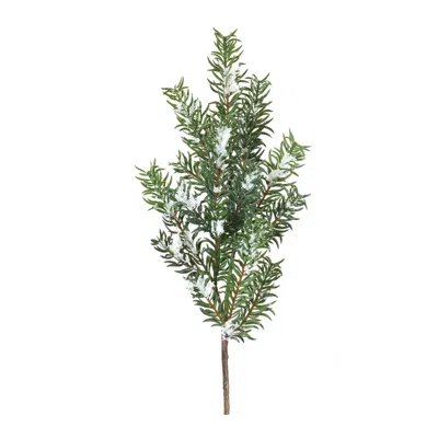 Houzbling Snow Pine Spray (set Of 6) 30"h Plastic