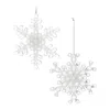 Houzbling Snowflake Ornament (set Of 24) 5.25"h Acrylic