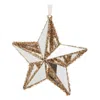 Houzbling Star Ornament (set Of 12) 8.5"h Wire/pvc