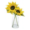 Houzbling Sunflower In Vase (set Of 2) 12"h Polyester/glass