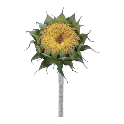 Houzbling Sunflower Stem (set Of 6) 23.5"h Polyester/plastic
