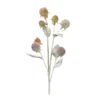Houzbling Thistle Spray (set Of 6) 27.5"h Plastic