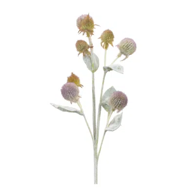 Houzbling Thistle Spray (set Of 6) 27.5"h Plastic In Black