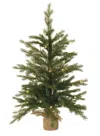 Houzbling Tree In Burlap 3'h Pvc