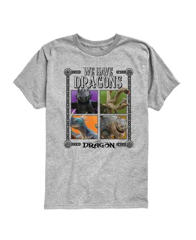 How To Train Your Dragon Kids' Boys' 8-20 Short-sleeve T-shirt In Gray