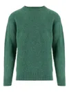 Howlin' Solid Green Wool Sweater With Classic Crew Neckline In Green
