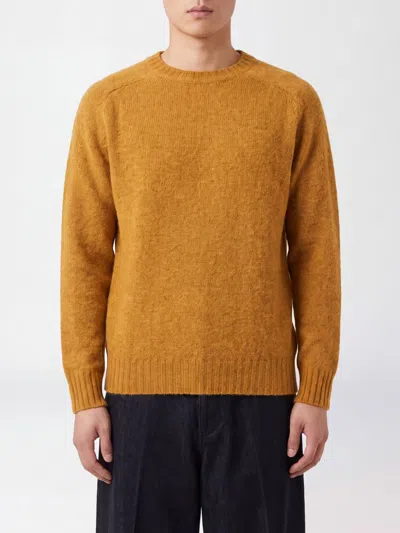 Howlin' Howlin Crewneck Wool Blend Jumper With Ribbed Trims In Yellow