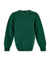 Howlin' Long-sleeved Sweater In Green