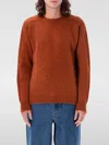 Howlin' Taste Of The Future Mars Sweater In Wallnuss