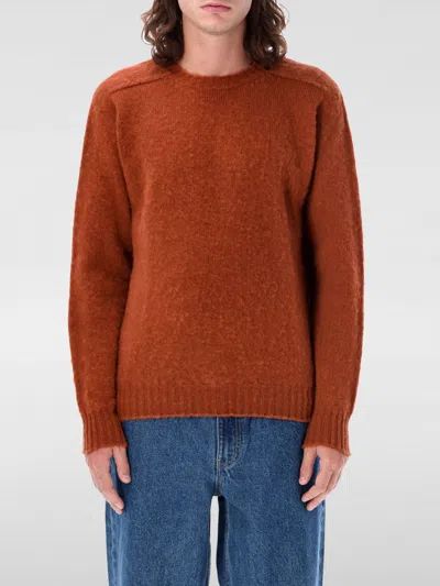 HOWLIN' SWEATER HOWLIN MEN COLOR WALNUT,G46136600
