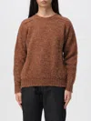 Howlin' Sweater Howlin Woman Color Brown In Brown