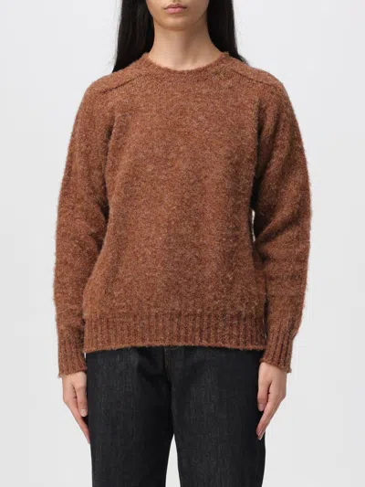 Howlin' Sweater Howlin Woman Color Brown