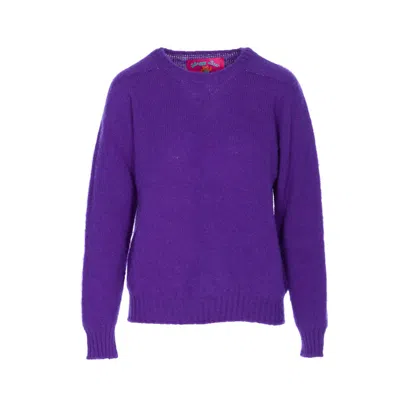 Howlin' Shaggy Bear Sweater In Purple