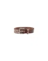 Htc 4000 Studs Brown Belt In Brown