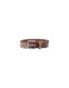 Htc 4000 Studs Brown Belt In Brown