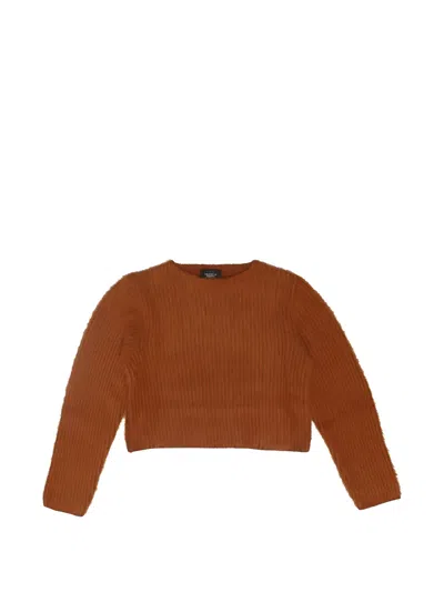 Htc Los Angeles Ribbed-knit Sweater In Brown