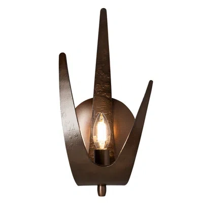 Hubbardton Forge Caribou 1-light Wall Sconce In Bronze