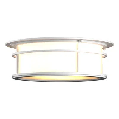 Hubbardton Forge Province 2 - Bulb Outdoor Flush Mount In Black,opal