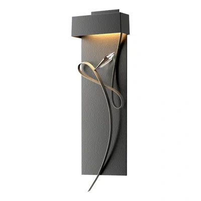 Hubbardton Forge Rhapsody 1-light Led Flush Mounted Sconce In Black,natural Iron