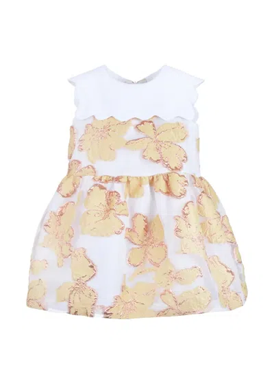 Hucklebones London Kids' Floral-jacquard Scalloped Dress In White