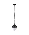 Hudson & Canal Aurelia 13" Metal Pendant With Glass Shade In Black