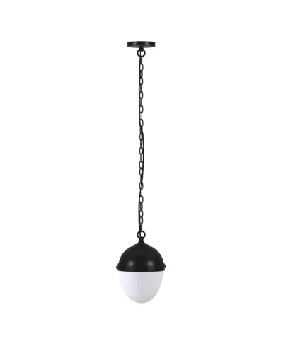 Hudson & Canal Aurelia 13" Metal Pendant With Glass Shade In Black