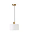 Hudson & Canal Henri 10" Glass Shade Wide Pendant In Brass