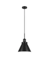 Hudson & Canal Zeno 12" Wide Pendant With Metal Shade In Blackened Bronze