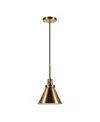 Hudson & Canal Zeno Pendant In Brass