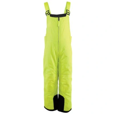 Hudson Baby Kids'  Snow Bib Overalls In Green
