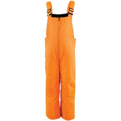 Hudson Baby Kids'  Snow Bib Overalls In Multi